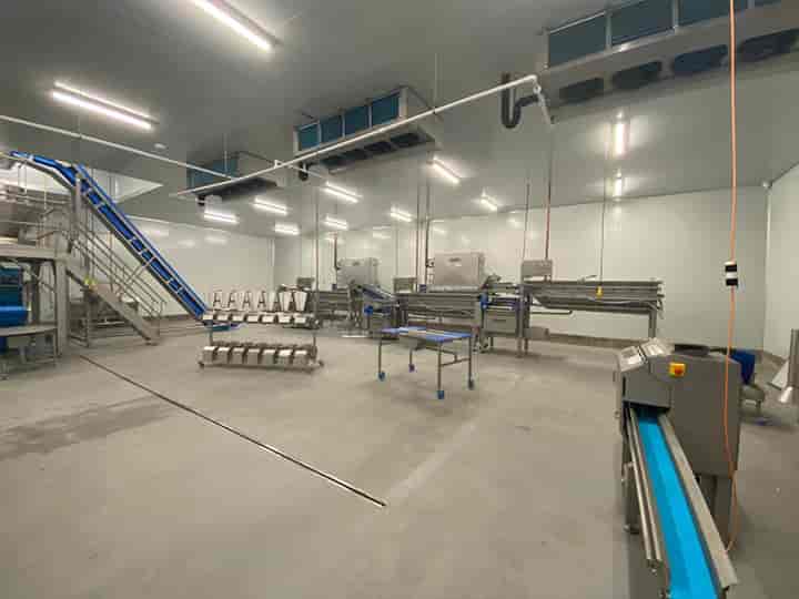 processing room with double-sided blowing evaporators processing room with double-sided blowing evaporators