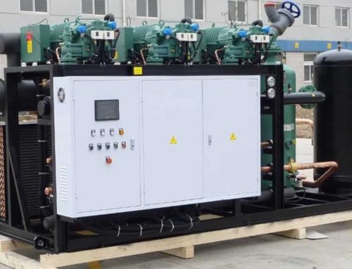 El cliente creció gracias a la solución de cámara frigorífica profesional de CRYO