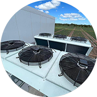Air cooler condenser